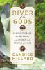 Go to record River of the gods : genius, courage, and betrayal in the s...