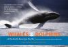 Go to record Whales & dolphins of the North American Pacific including ...