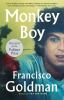 Go to record Monkey boy : a novel