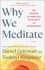 Go to record Why we meditate : the science and practice of clarity and ...