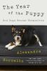 Go to record The year of the puppy : how dogs become themselves