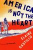 Go to record America is not the heart : a novel