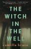 Go to record The witch in the well
