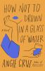 Go to record How not to drown in a glass of water : a novel