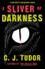 Go to record A sliver of darkness : stories