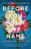Go to record Before you knew my name : a novel