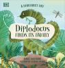 Go to record Diplodocus finds its family