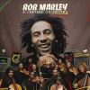 Go to record Bob Marley with the Chinekel Orchestra.