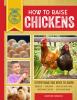 Go to record How to raise chickens : everything you need to know