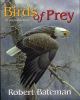 Go to record Birds of prey : an introduction