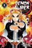 Go to record Demon slayer  Volume 8, The strength of the hashira