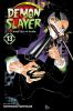 Go to record Demon slayer  Volume 13, Transitions