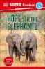 Go to record Hope for the elephants