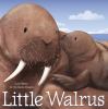 Go to record Little Walrus
