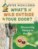 Go to record What's wild outside your door? : discovering nature in the...