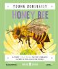 Go to record Honey bee : a first field guide to the world's favorite po...