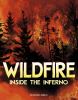 Go to record Wildfire, inside the inferno