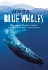 Go to record Save the... blue whales