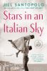 Go to record Stars in an Italian sky a novel