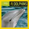 Go to record Face to face with dolphins