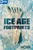 Go to record Ice Age footprints