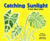 Go to record Catching sunlight : a book about leaves