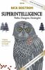 Go to record Superintelligence : paths, dangers, strategies