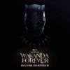 Go to record Black Panther : Wakanda forever : music from and inspired by.