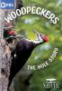 Go to record Woodpeckers : the hole story