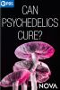 Go to record Can psychedelics cure?