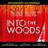 Go to record Into the woods : 2022 Broadway cast recording