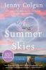 Go to record The summer skies a novel
