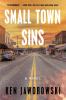 Go to record Small town sins : a novel