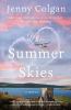 Go to record The summer skies : a novel
