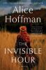 Go to record The invisible hour : a novel