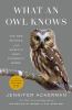 Go to record What an owl knows : the new science of the world's most en...