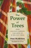 Go to record The power of trees : how ancient forests can save us if we...