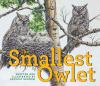Go to record The smallest owlet