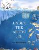 Go to record Under the Arctic ice
