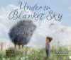 Go to record Under the blanket sky