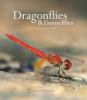 Go to record Dragonflies & damselflies : a natural history