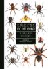 Go to record Spiders of the world : a natural history