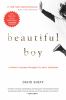 Go to record Beautiful boy : a father's journey through his son's addic...