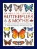 Go to record The world encyclopedia of butterflies & moths : a natural ...