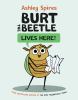 Go to record Burt the Beetle lives here!