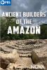Go to record Ancient builders of the Amazon