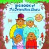 Go to record Big book of the Berenstain Bears