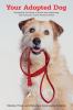 Go to record Your adopted dog : everything you need to know about rescu...
