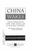 Go to record China wakes : the struggle for the soul of a rising power