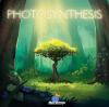 Go to record Photosynthesis : board game